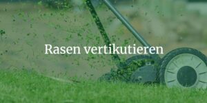 Rasen vertikutieren