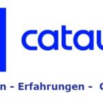 Catawiki Verkaufen Erfahrungen Gebühren