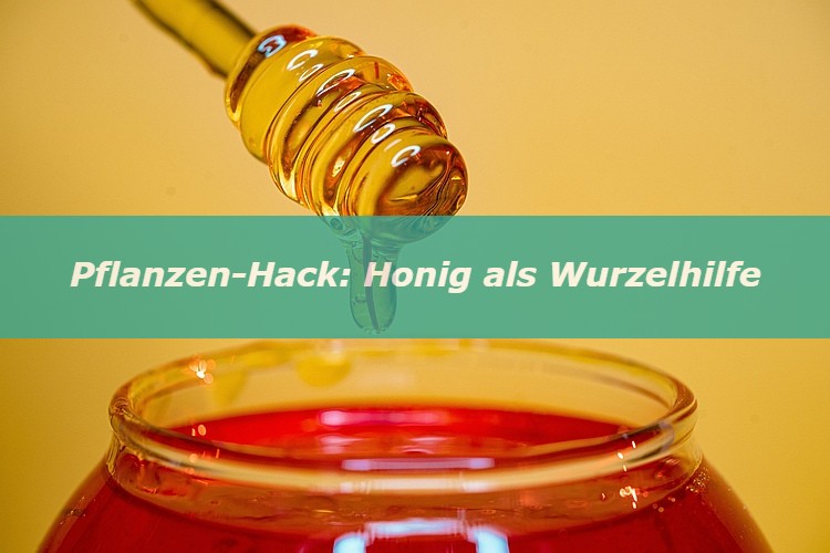 Pflanzen-Hack: Honig als Wurzelhilfe einsetzen Pflanzen-Hack: Honig als Wurzelhilfe einsetzen
